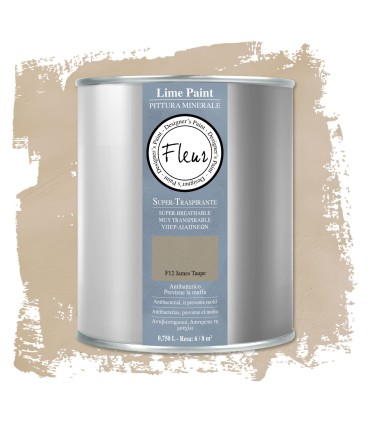 pintura mineral fleur james taupe