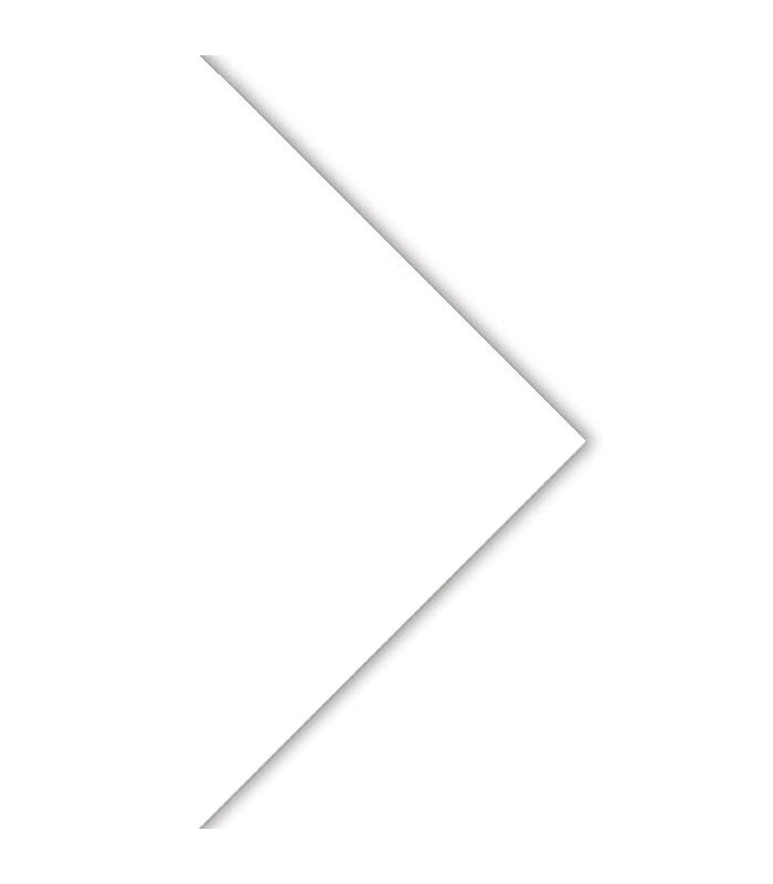 PAPEL DE DIBUJO BASIK 150 GRS CANSON GUARRO