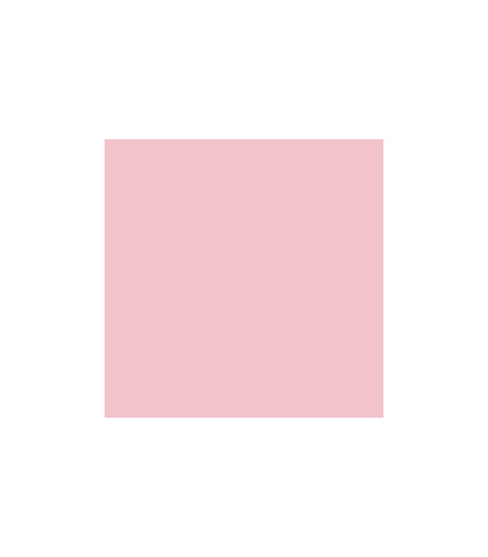 Pintura pastel Rembrandt colores sueltos con gran intensidad de color.