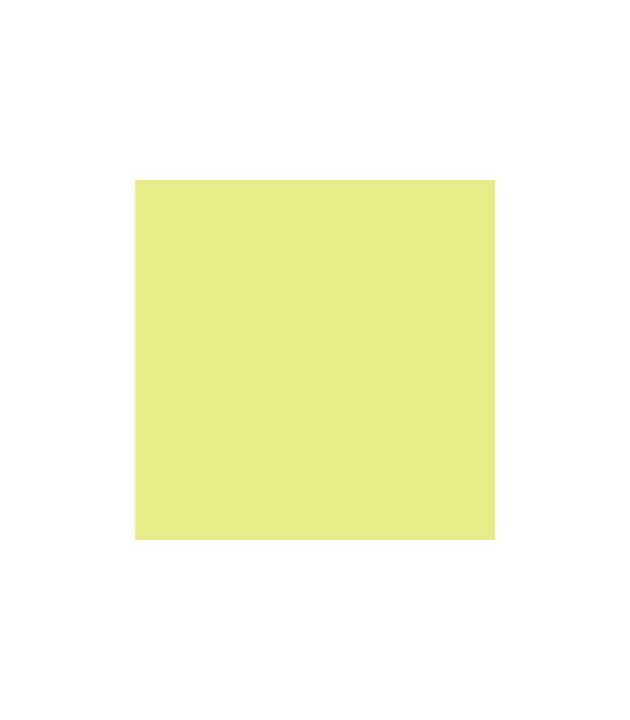 Pintura pastel Rembrandt colores sueltos con gran intensidad de color.