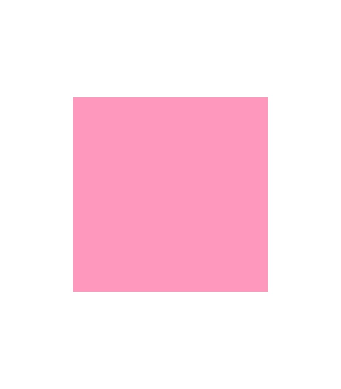 Pintura pastel Rembrandt colores sueltos con gran intensidad de color.