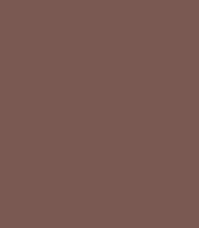 Pintura para fachadas Mocha Mousse Performance de JOTUN