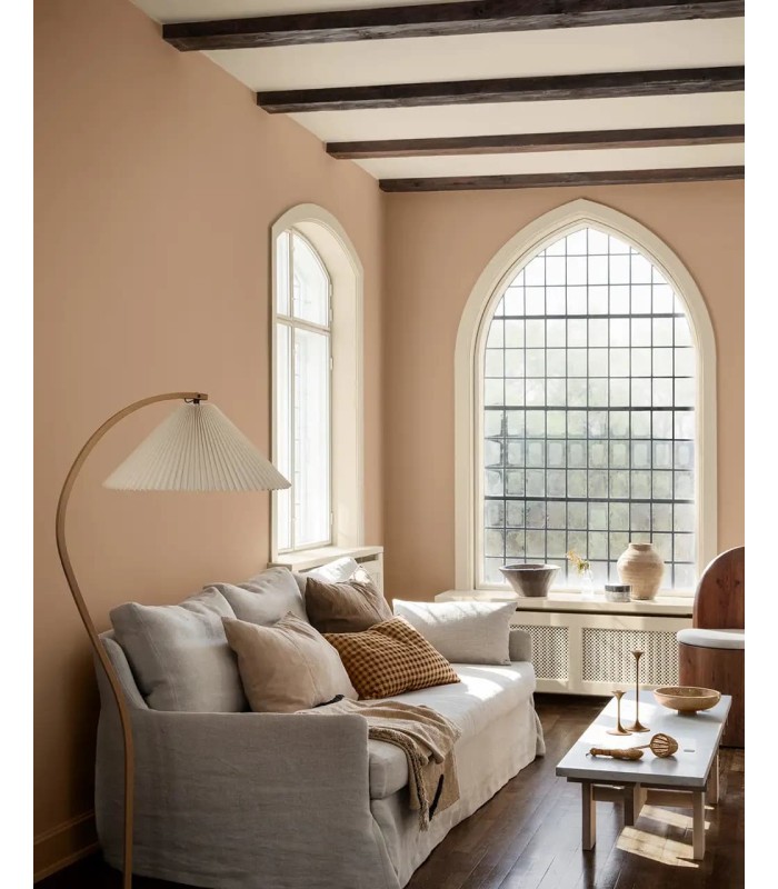 Pintura para fachadas Mocha Mousse Performance de JOTUN