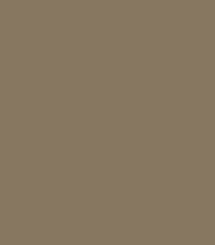 Pintura para fachadas Mocha Mousse Performance de JOTUN