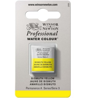 Acuarela Artist Winsor & Newton Medio Godet