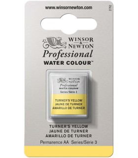 Acuarela Artist Winsor & Newton Medio Godet