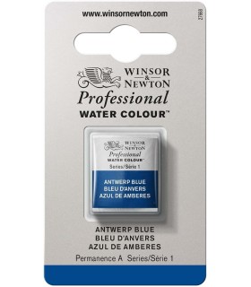 Acuarela Artist Winsor & Newton Medio Godet