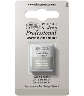 Acuarela Artist Winsor & Newton Medio Godet