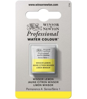 Acuarela Artist Winsor & Newton Medio Godet