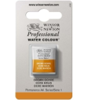Acuarela Artist Winsor & Newton Medio Godet