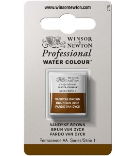 Acuarela Artist Winsor & Newton Medio Godet