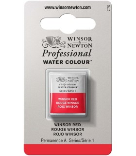 Acuarela Artist Winsor & Newton Medio Godet