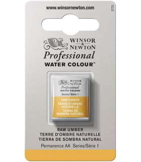 Acuarela Artist Winsor & Newton Medio Godet