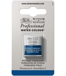 Acuarela Artist Winsor & Newton Medio Godet