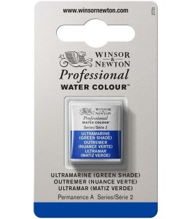 Acuarela Artist Winsor & Newton Medio Godet