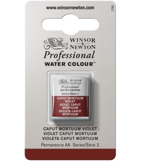 Acuarela Artist Winsor & Newton Medio Godet