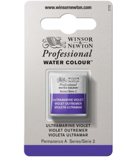 Acuarela Artist Winsor & Newton Medio Godet