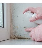 Soluciones antimoho y antihumedad