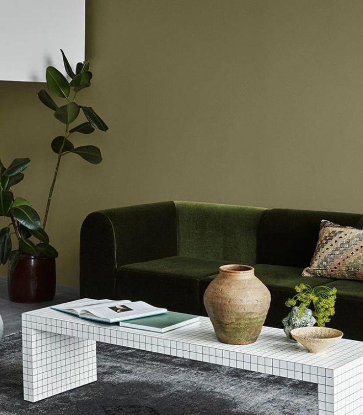 Pintura de Color para Interiores, Renueva tu Hogar con Pincolor