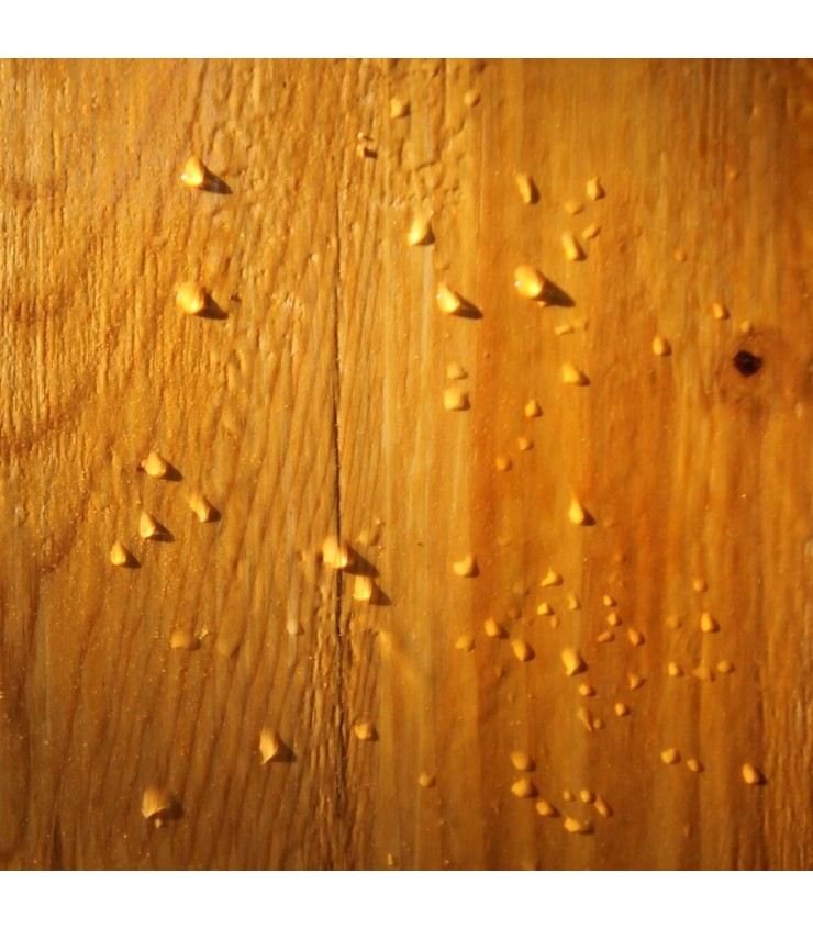 Esmalte para Madera Exterior | Pincolor