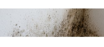 Soluciones antimoho y antihumedad